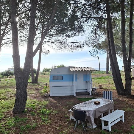 Caravane Janis On The Beach Lucciana  Exterior photo